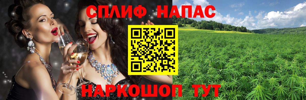 Конопля семена  Конопля SATIVA & INDICA  Обь  Вход с VPN  Канабис планчик 